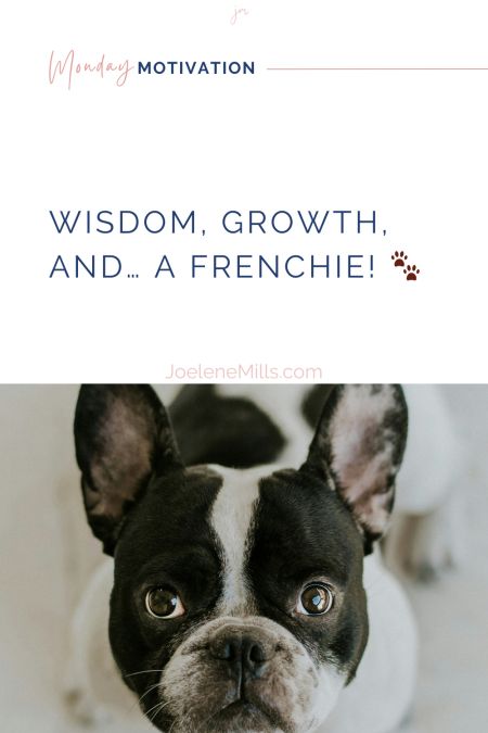 Monday Motivation - Wisdom, Growth, and a Frenchie! 